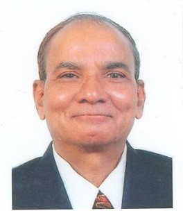 P.G. Adsule